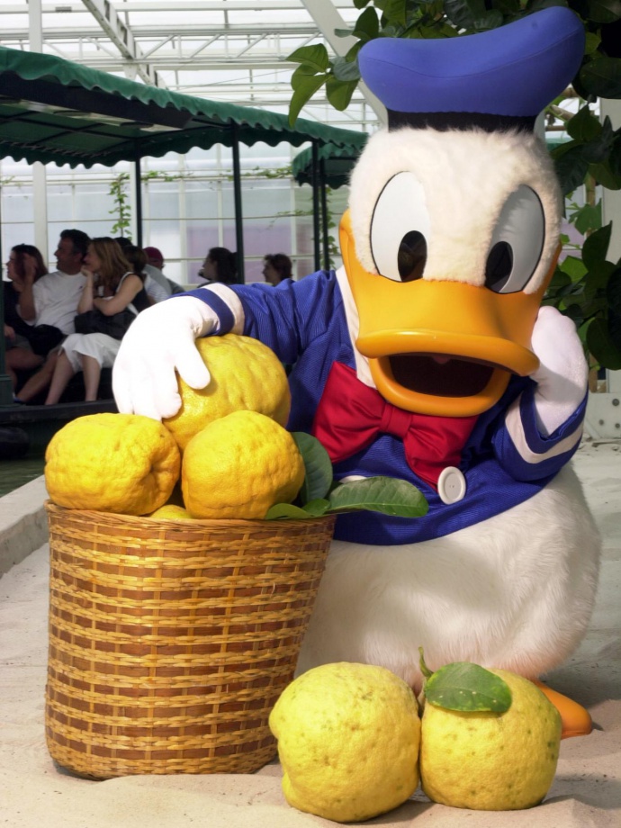 CI-Disney_sour-power-Donald-Duck-lemons