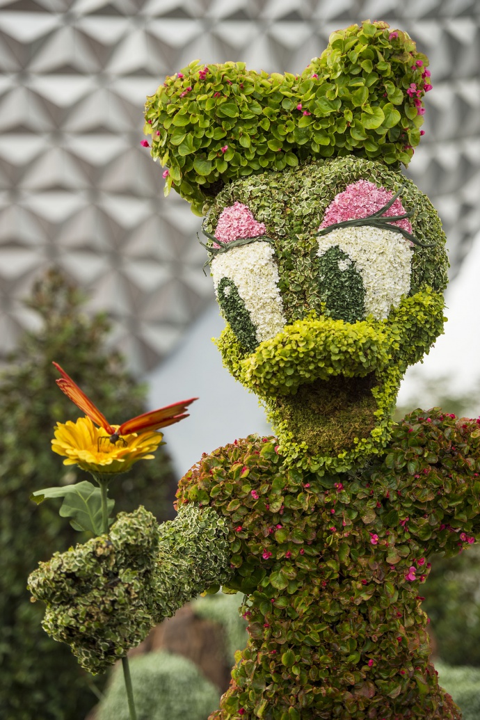 Character Topiaries at Epcot International Flower & Garden Festival: Daisy Duck