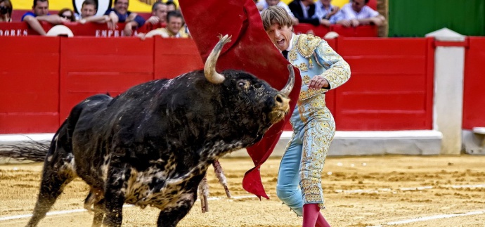 bullfighting_sports_men_people_spain_spanish_action_animals_bulls_photography_1280x600