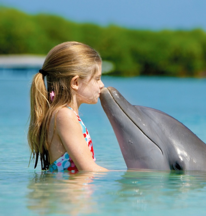 People_Entertainment_and_recreation_Girl_and_Dolphin_035480_