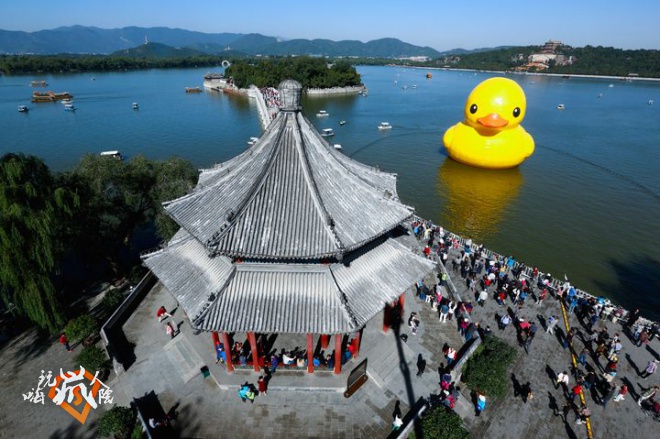 Rubber Duck Moves to Summer Palace