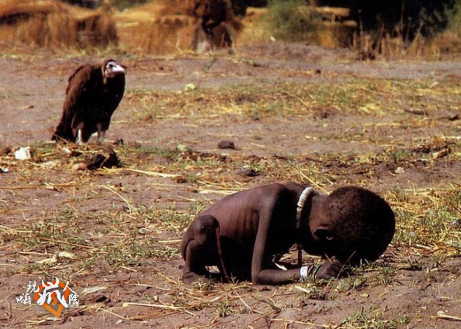 25kevin-carter-vulture